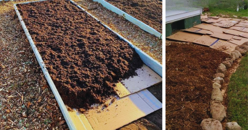 carton potager